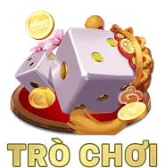 Trải nghiệm người dùng và Giao diện